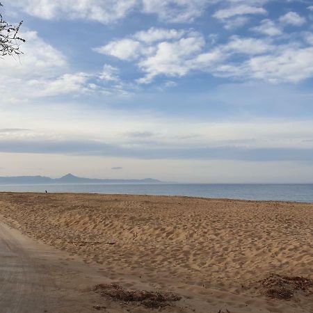 Assagador Del Palmar, 1 Dormitorio, Playa A 50M, By Bookindenia Dış mekan fotoğraf